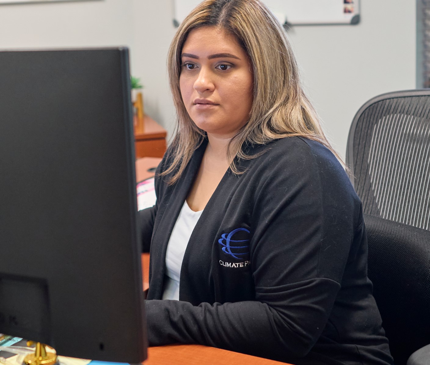 Climate Pros team member ready to help